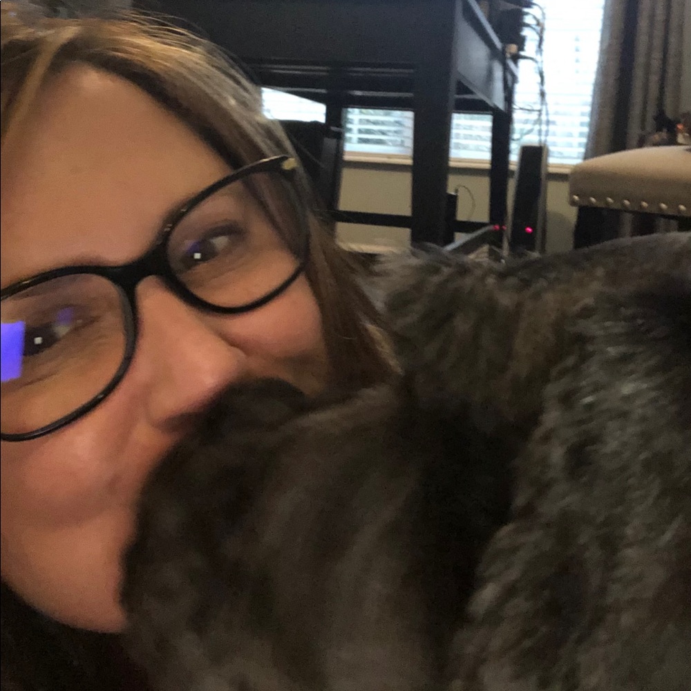 Meet your Posher, Karrie